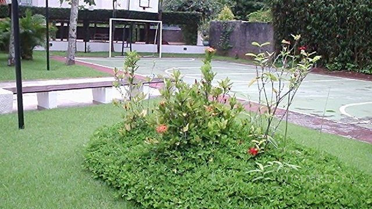 Apartamento — foto 45 de 57