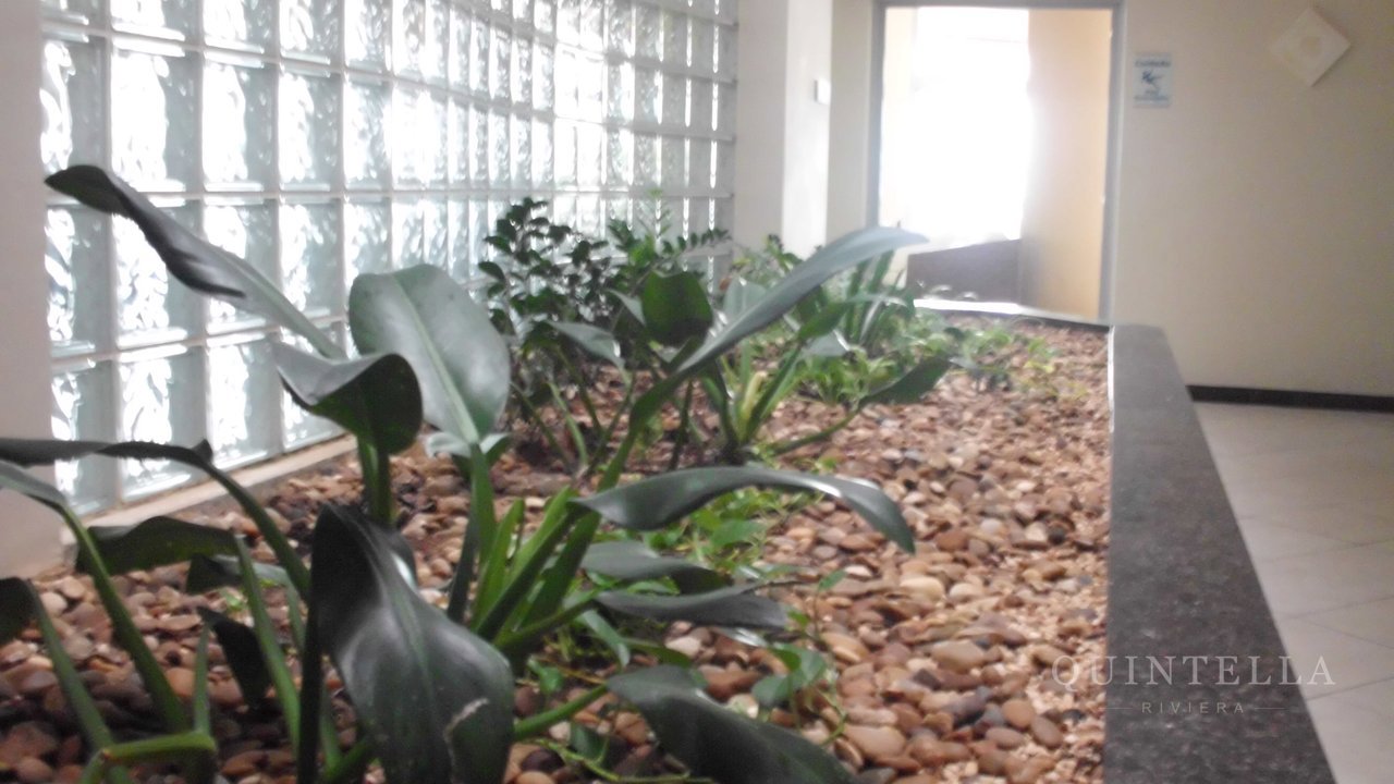 Apartamento — foto 61 de 88
