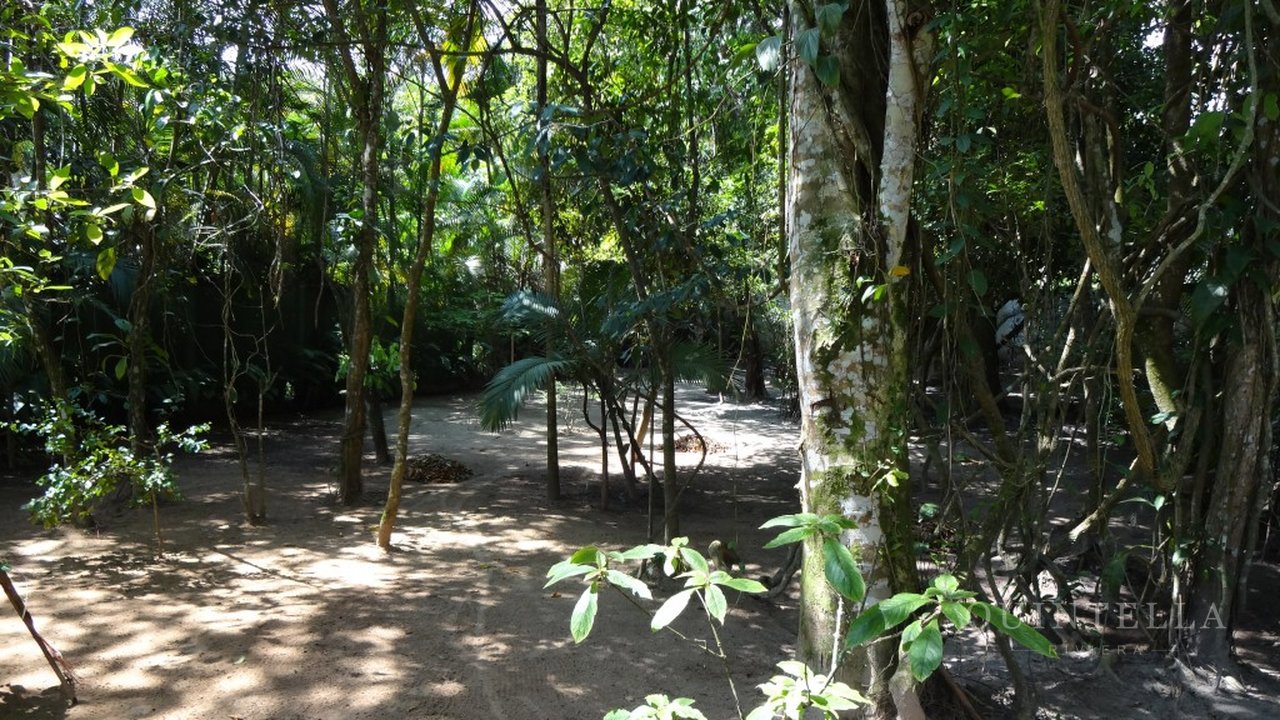 Casa — foto 67 de 71
