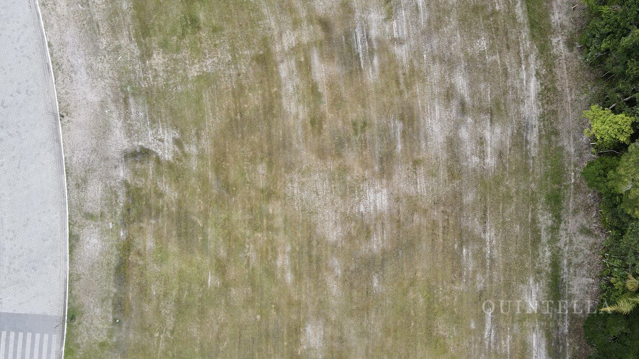 Terreno